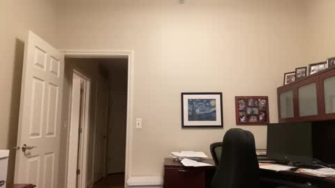 Snapshot of showmet chatting on 07-18-26, 03:33 Chicago Guy online show from 07-18-26, 03:33