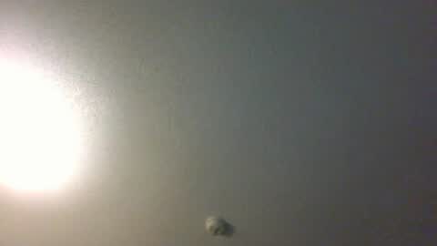 showuthed online show from 07-14-26, 02:38