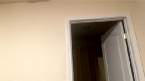 shurthingxx online show from 12-01-25, 03:11