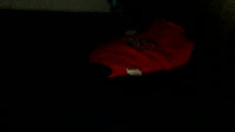 Snapshot of shyandlong69699 chatting on 09-20-25, 02:23 shyandlong69699 online show from 09-20-25, 02:23