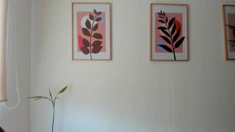 shylittlebunny online show from 02-11-26, 02:33