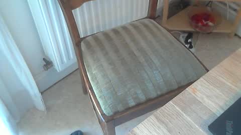 Snapshot of sibblii0 chatting on 03-04-25, 11:19 Seba online show from 03-04-25, 11:19