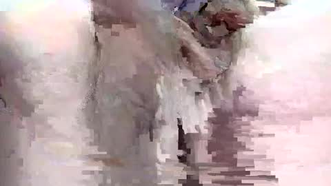 sigmaelixer online show from 09-29-25, 09:08