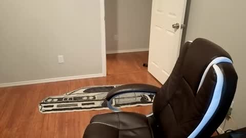 Snapshot of sigmaslayer chatting on 10-24-25, 11:56 sigmaslayer online show from 10-24-25, 11:56