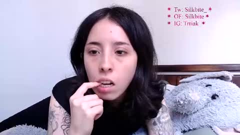 silkbite online show from 08-01-26, 08:30