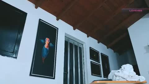 silvabranko online show from 05-19-26, 01:56