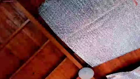 silvabranko online show from 07-19-26, 03:05