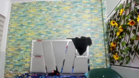 Snapshot of sirryant chatting on 02-02-25, 01:45 SIR RYANT online show from 02-02-25, 01:45