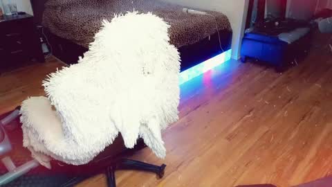 Snapshot of sissyashleigh chatting on 04-21-26, 11:51 Ashleigh Mak online show from 04-21-26, 11:51