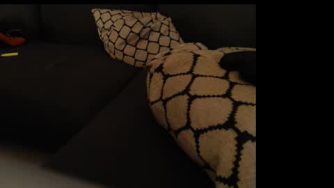 Snapshot of sissygirlalexandra chatting on 01-26-25, 01:31 sissygirlalexandra online show from 01-26-25, 01:31