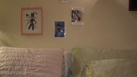 HINT its the name I go by. online show from 07-14-26, 02:05