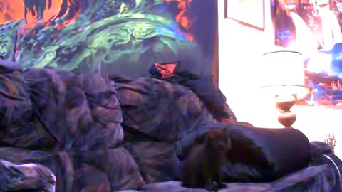 Jimmy B online show from 01-04-25, 05:05