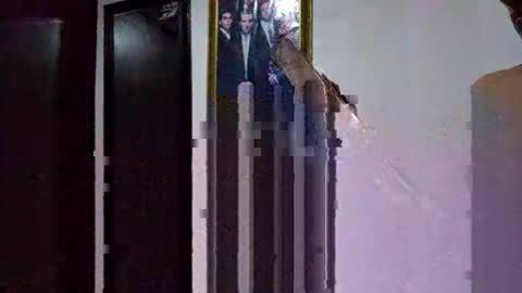 miguel online show from 03-09-26, 05:17