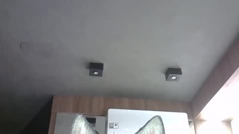 skinnykittencam online show from 10-29-25, 07:21