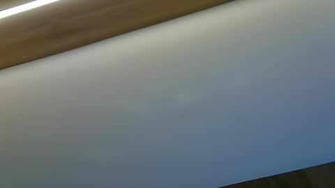 skinnykittencam online show from 10-29-25, 08:54