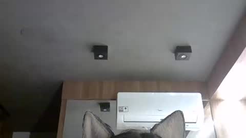 skinnykittencam online show from 11-12-25, 07:42