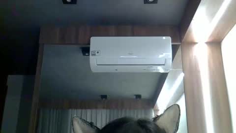 skinnykittencam online show from 02-11-26, 02:49