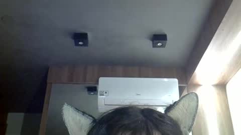 Snapshot of skinnykittencam chatting on 05-03-26, 03:07 skinnykittencam online show from 05-03-26, 03:07