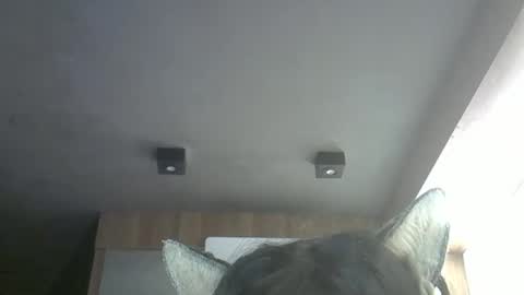 Snapshot of skinnykittencam chatting on 05-12-26, 11:51 skinnykittencam online show from 05-12-26, 11:51