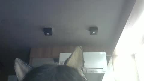 Snapshot of skinnykittencam chatting on 05-14-26, 09:05 skinnykittencam online show from 05-14-26, 09:05