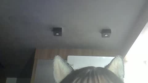 Snapshot of skinnykittencam chatting on 05-18-26, 01:02 skinnykittencam online show from 05-18-26, 01:02