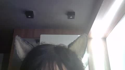 Snapshot of skinnykittencam chatting on 05-22-26, 03:28 skinnykittencam online show from 05-22-26, 03:28