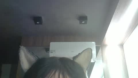 Snapshot of skinnykittencam chatting on 05-23-26, 03:38 skinnykittencam online show from 05-23-26, 03:38