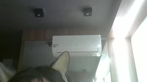 Snapshot of skinnykittencam chatting on 05-26-26, 11:01 skinnykittencam online show from 05-26-26, 11:01