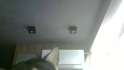 Snapshot of skinnykittencam chatting on 05-28-26, 06:38 skinnykittencam online show from 05-28-26, 06:38