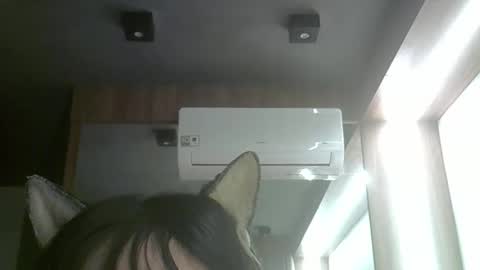 Snapshot of skinnykittencam chatting on 06-03-26, 05:21 skinnykittencam online show from 06-03-26, 05:21