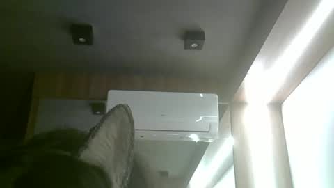 Snapshot of skinnykittencam chatting on 06-03-26, 05:51 skinnykittencam online show from 06-03-26, 05:51