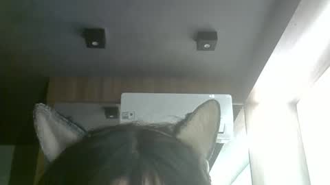 Snapshot of skinnykittencam chatting on 06-05-26, 03:51 skinnykittencam online show from 06-05-26, 03:51