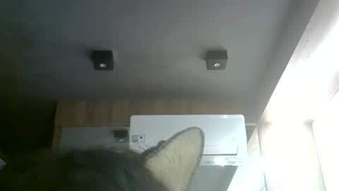 Snapshot of skinnykittencam chatting on 06-06-26, 09:30 skinnykittencam online show from 06-06-26, 09:30