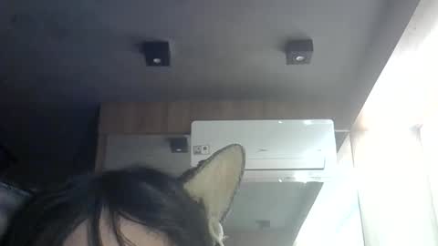 Snapshot of skinnykittencam chatting on 06-11-26, 12:54 skinnykittencam online show from 06-11-26, 12:54