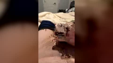 skinrod8762477 online show from 06-19-26, 04:06
