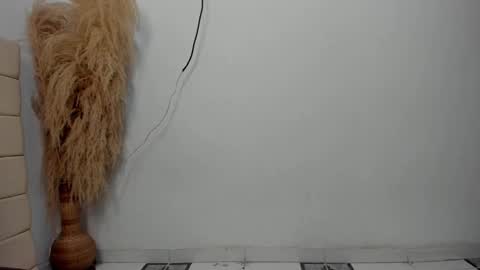 Snapshot of sky_dancer chatting on 12-17-25, 11:05 Reuben online show from 12-17-25, 11:05