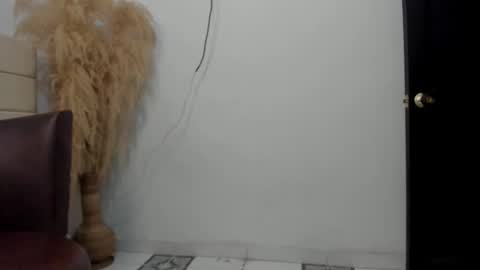 Snapshot of sky_dancer chatting on 12-22-25, 02:14 Reuben online show from 12-22-25, 02:14