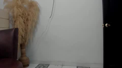 Snapshot of sky_dancer chatting on 12-23-25, 02:20 Reuben online show from 12-23-25, 02:20