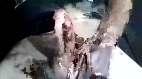 Snapshot of slash1710 chatting on 11-02-25, 09:28 Z online show from 11-02-25, 09:28