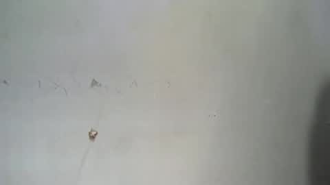 Snapshot of sleazyycarlit chatting on 11-03-25, 04:03 Sleazyycarlitx online show from 11-03-25, 04:03