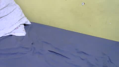 slim_bonny254 online show from 12-17-25, 09:26