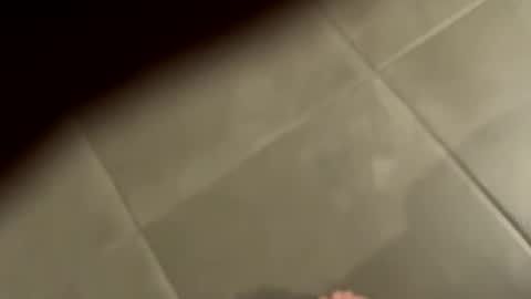 Snapshot of slimlord90 chatting on 01-25-25, 01:08 slimlord90 online show from 01-25-25, 01:08