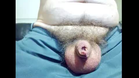 Small Hairy Uncut online show from 07-25-26, 05:21