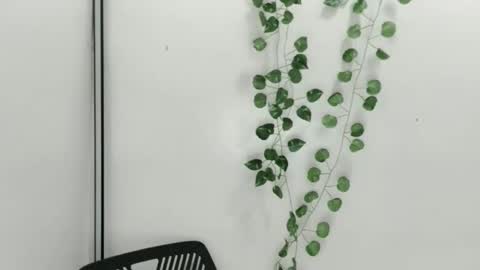 Snapshot of smellon_shake chatting on 10-09-25, 06:33 Julia online show from 10-09-25, 06:33