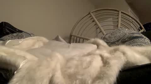 Snapshot of smoke4daddy chatting on 10-02-25, 12:56 Smoke4Daddy online show from 10-02-25, 12:56