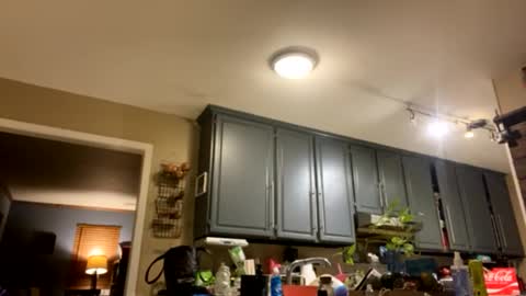 Snapshot of smokeymt420 chatting on 02-09-25, 09:37 smokeymt420 online show from 02-09-25, 09:37