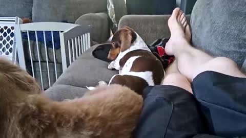 smokynight online show from 04-26-26, 08:17