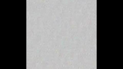 Elena and Herb online show from 09-26-25, 05:06