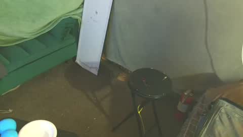 snizniz online show from 08-02-26, 04:11