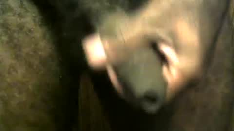 Snapshot of snkr1244 chatting on 12-28-24, 07:55 snkr1244 online show from 12-28-24, 07:55